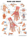 The Hand & Wrist Chart - Sammy's Supply